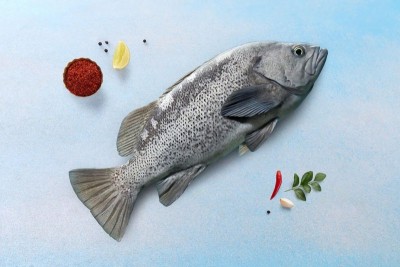 Tasty Rockfish