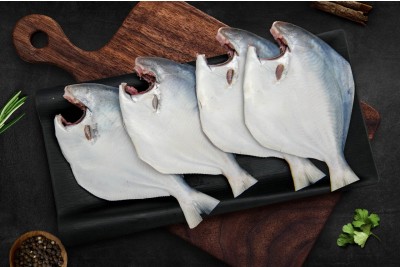 White Pomfret / Silver Pomfret/ Avoli (4 Fish/Pack)(Size 100-150g/Each Fish)