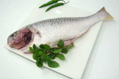 Silver Snapper / Cochin Marine Catla - Whole Cleaned  (Cleaned, Descaled, Not Cut In Pieces) 