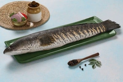 Snake Head Fish / Varaal / Bral / Kannan / Murrel - Whole