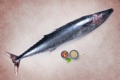 Spanish Seer Fish (Large) - Whole
