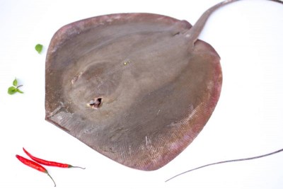 Freshwater Stingray / Thirandi (Will have strong smell, read description)
