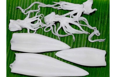 Kerala Squid / Koonthal - Tube and Tentacles