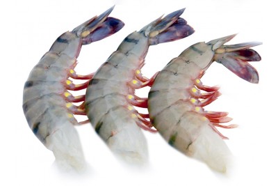 Kerala Flower Tiger Shrimp -Headless (No Head,Rest with shell, tail) 240g to 250g pack