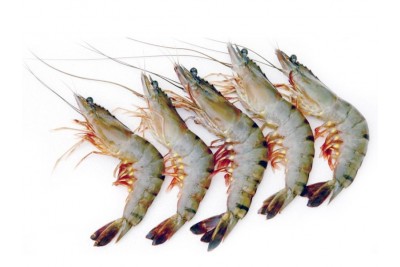 Tiger Prawn (Super Jumbo)  - Headless (No Head, Rest with shell, tail) 240g to 250g pack