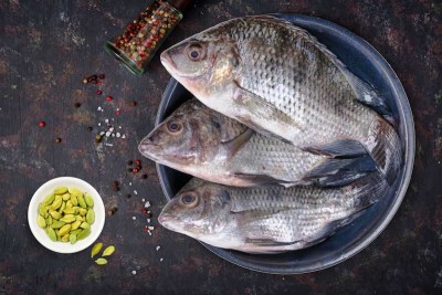 *Exclusive* Desi Tilapia / Jalebi Fish (small)