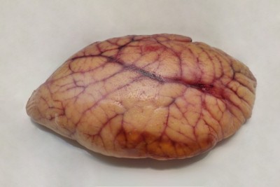 Trevally / Vatta - Roe / Egg