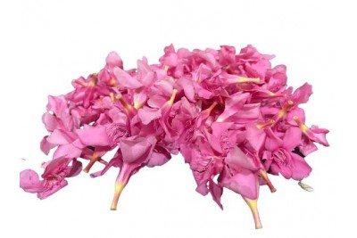 Oleander Flowers/ Pink Arli - (Pack of 200g)