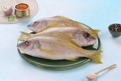 Yellow Snapper - Whole