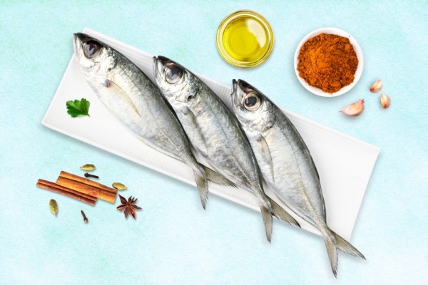 Finletted Mackerel / Kanni Ayala (Medium / Large)