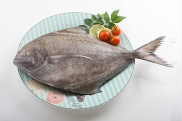 Black Pomfret / Karutha Avoli / Halwa Fish (700g to 3kg)