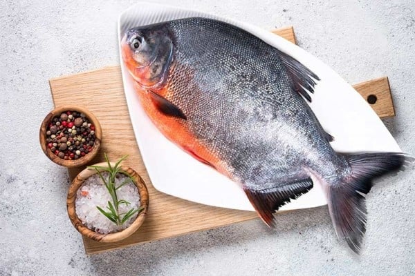 Rupchanda Roopchand Buy Online Freshtohome Com Moreover, the same fish, even though in the same language, can be known by a different. rupchanda