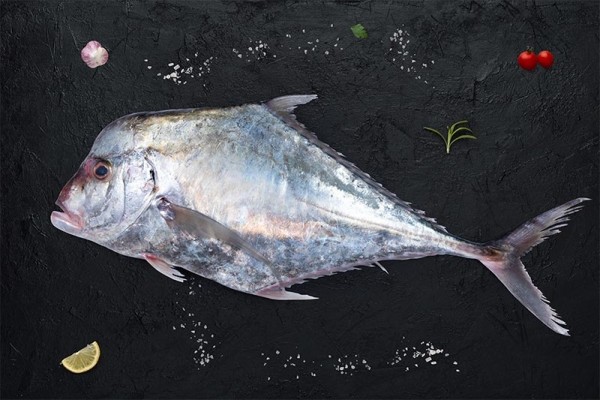 Silver Trevally / Kannadi Vatta