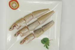 Lady Fish / Kane / Silver Whiting : Buy online | freshtohome.com