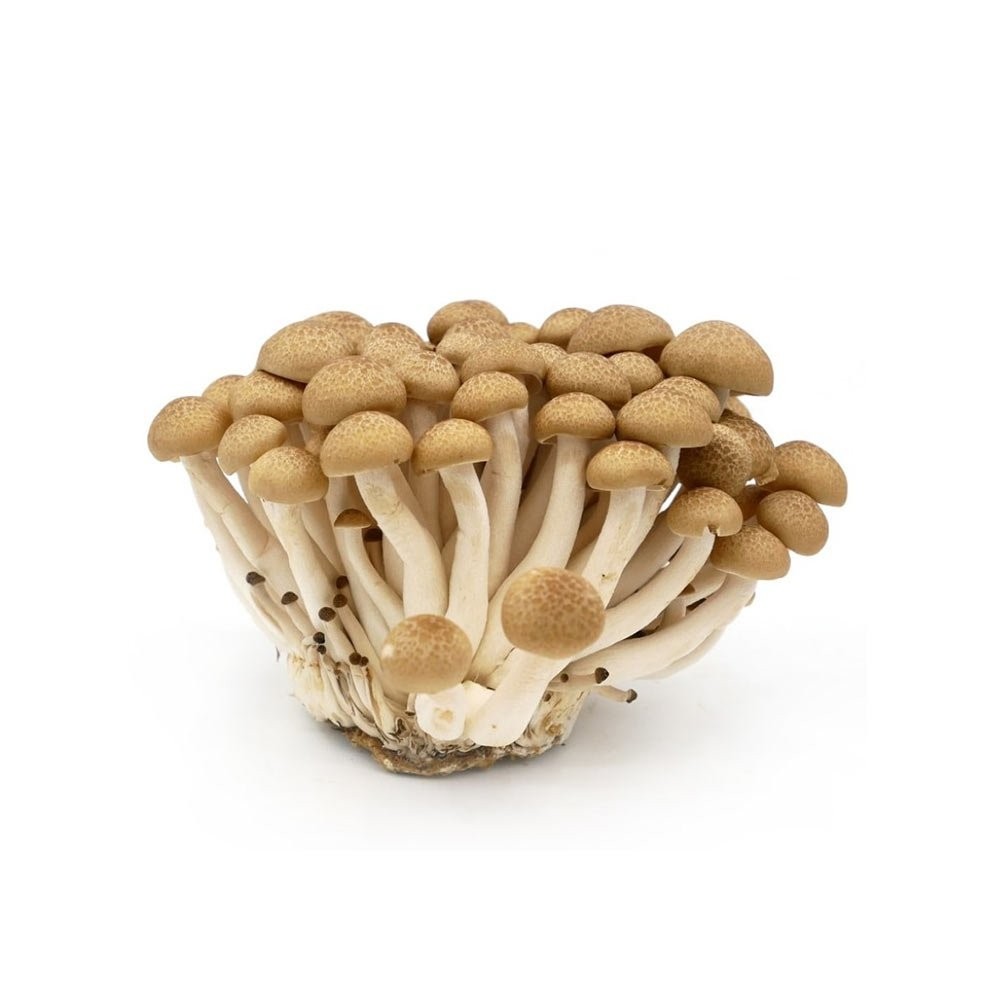 Mushroom Brown Shimeji Pack of 150g Buy online