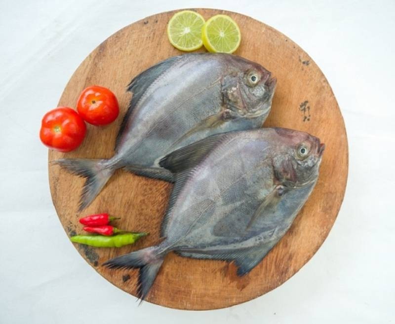 Black Pomfret / الزبيدي أسود / Karutha Avoli (Medium) Buy online