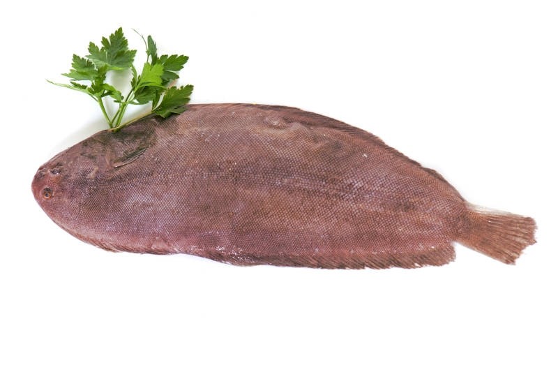 Dover Sole / سمك خوفعة Buy online