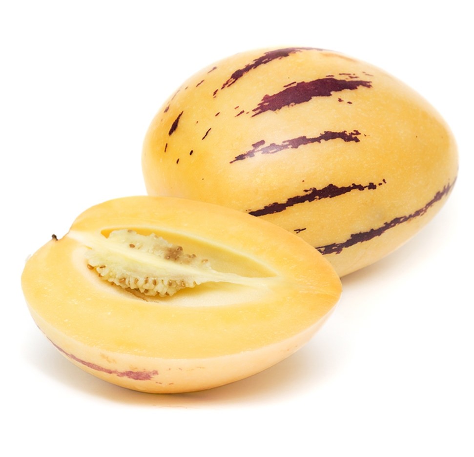 Pepino Melon 1unit Buy online