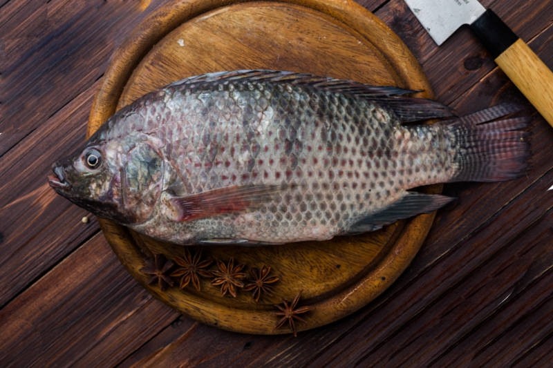 Premium Gift Tilapia from FreshToHome Farms (Large) Buy online