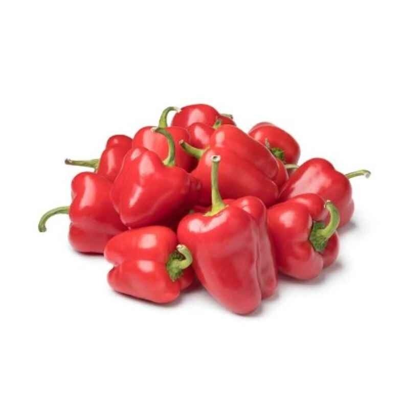 Mini Capsicum Red (NL) Buy online