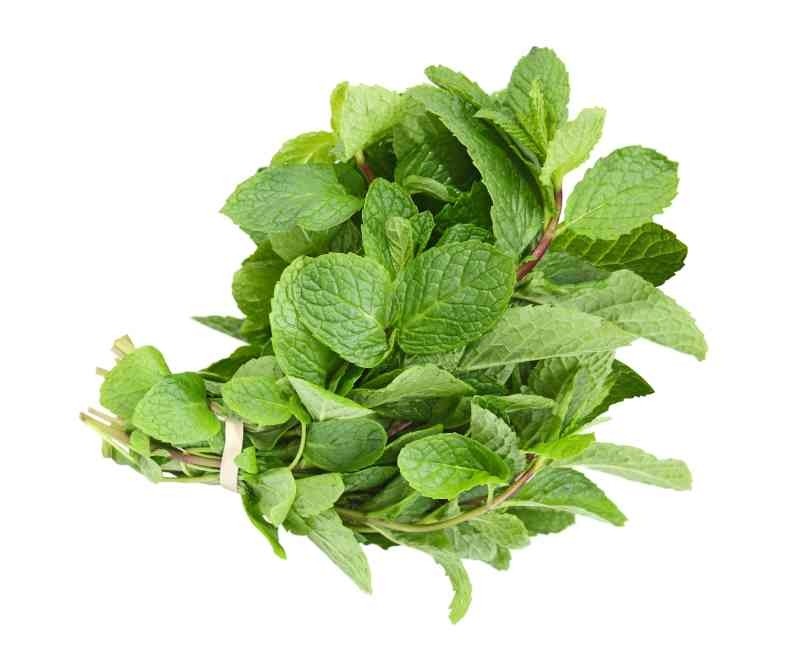 Mint Leaves 100g Bunch (AE) Buy online