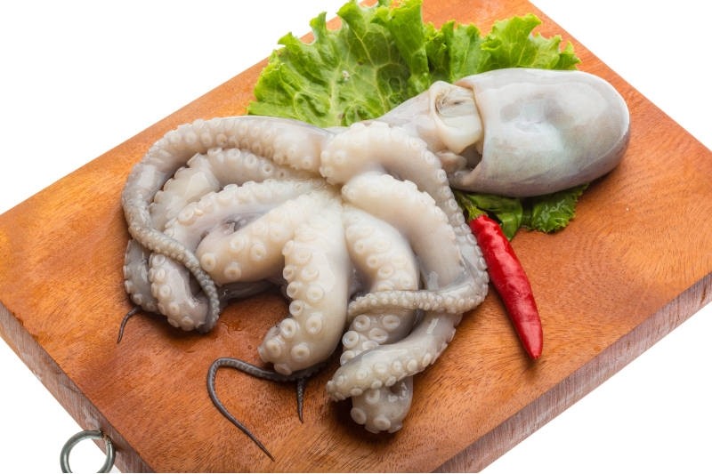Kerala Octopus - Whole : Buy online | freshtohome.com
