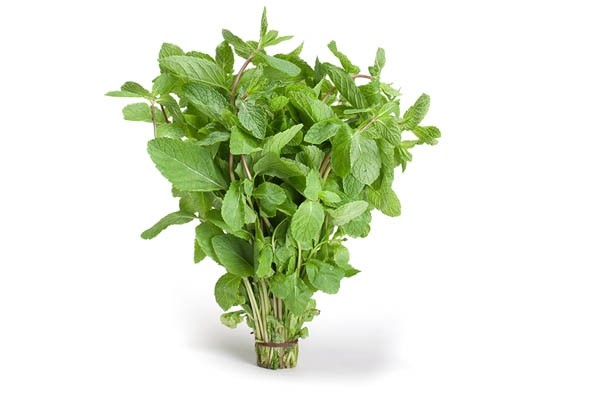 organic mint leaves