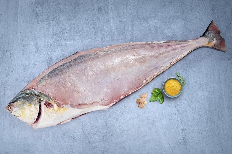 Queen Fish / Alsain / Leather Skin Fish Whole Cleaned Buy online