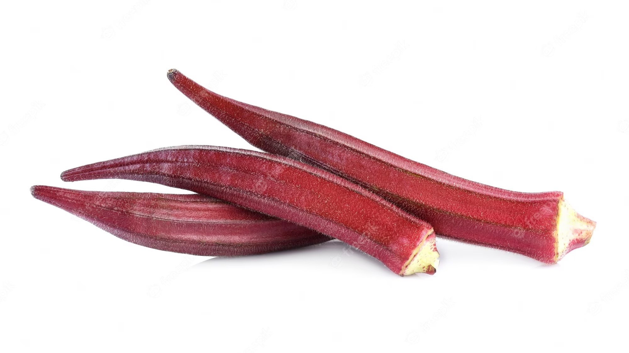 Okra Red Buy online