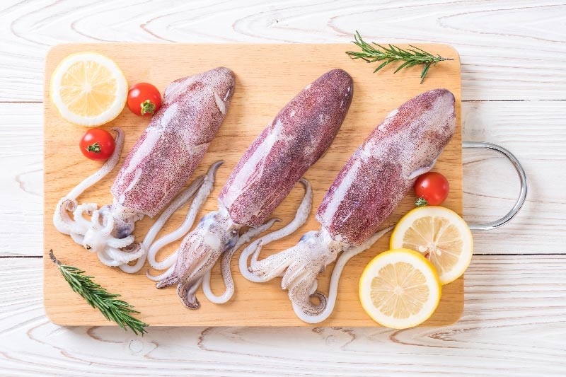 squids will be squids squids will be squids