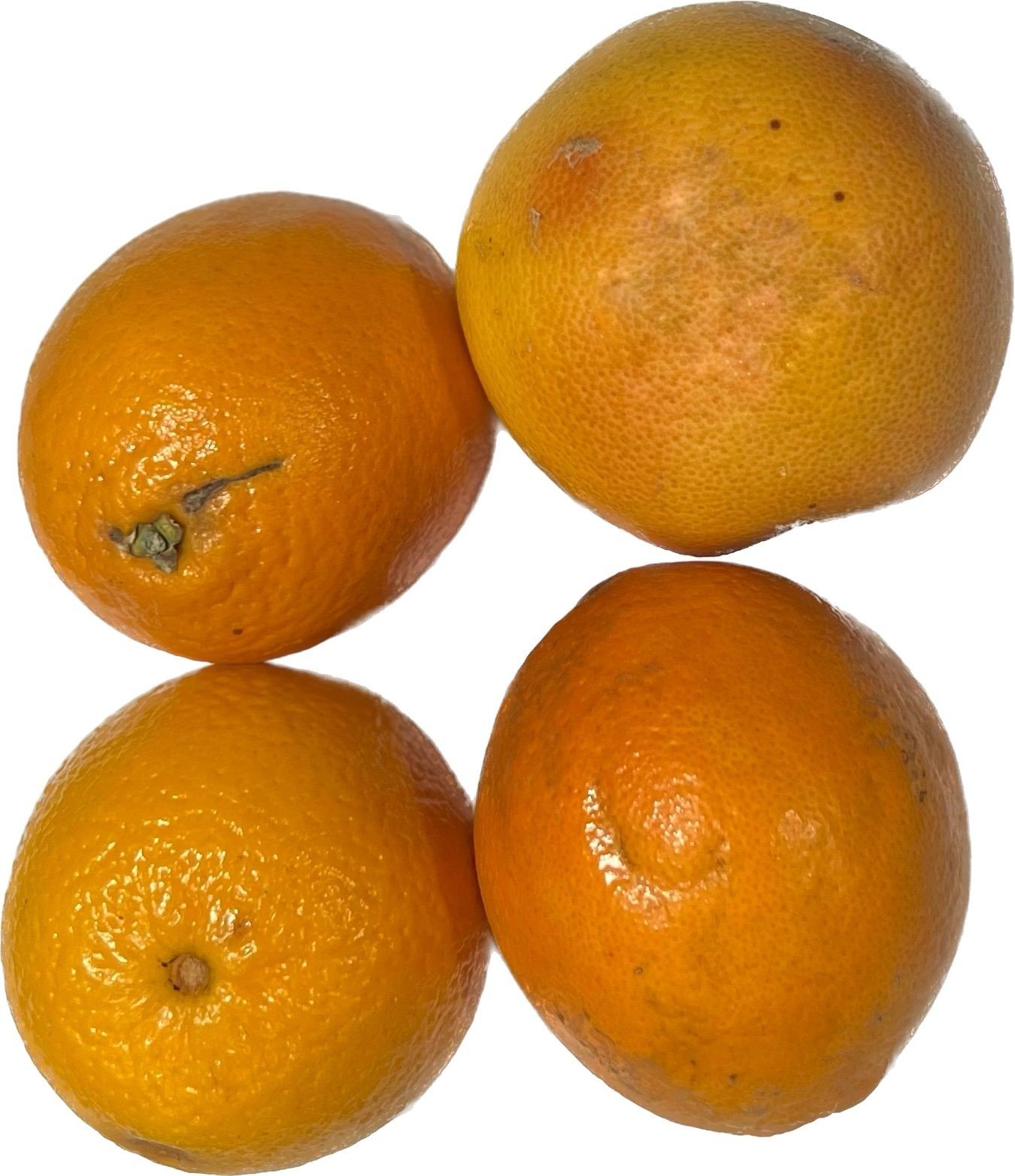 Perfect Oranges, Imperfect Spots:  A Fresh Perspective - c7279it