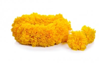 Marigold Flowers -Yellow Garland 1 Metre