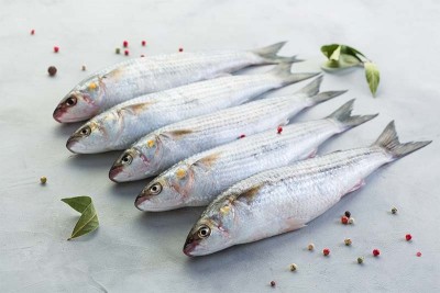 Kerala Grey Mullet / Thirutha / Bhangor / ভাঙ্গর - Curry Cut (May include head pieces)