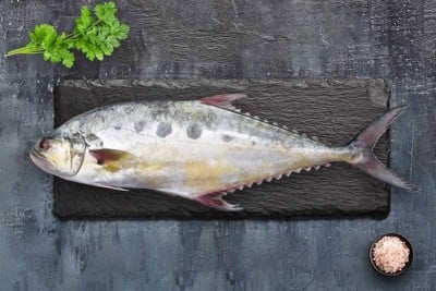 Queen Fish / سمك البسار / Leather Skin Fish 