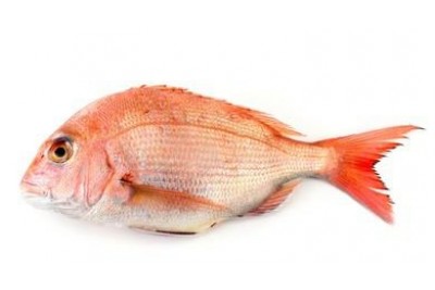 Red Sea Bream / Koffer  - Whole Cleaned