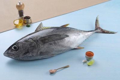 Yellow Fin Tuna / تونة الزعنفة الصفراء / Kera
