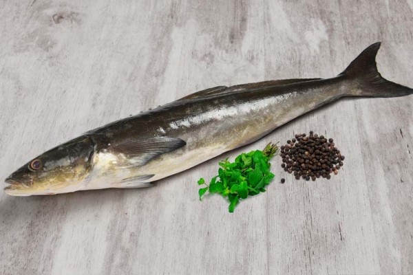 Freshtohome Buy Fresh Fish Online The fresh water fish, roopchand, is. freshtohome buy fresh fish online